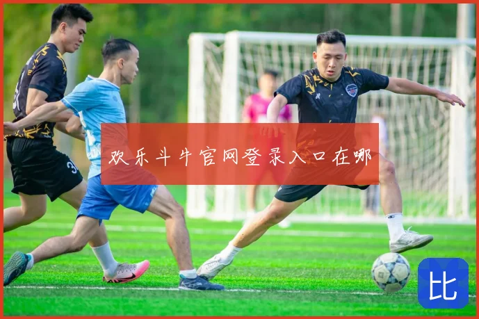 欢乐斗牛官网登录入口在哪